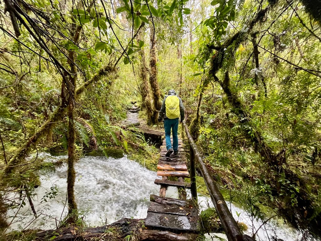 A hiker crossing a rough wooden path above fast water in a green forest