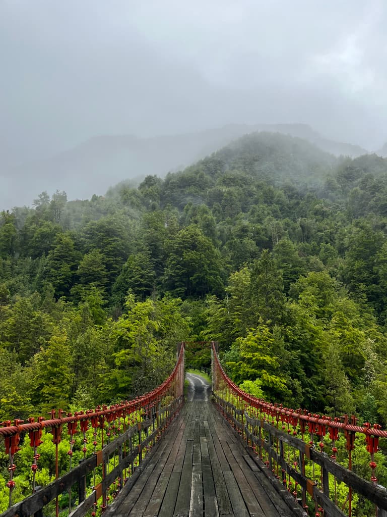 A wooden suspension bridge leading into a misty green forest