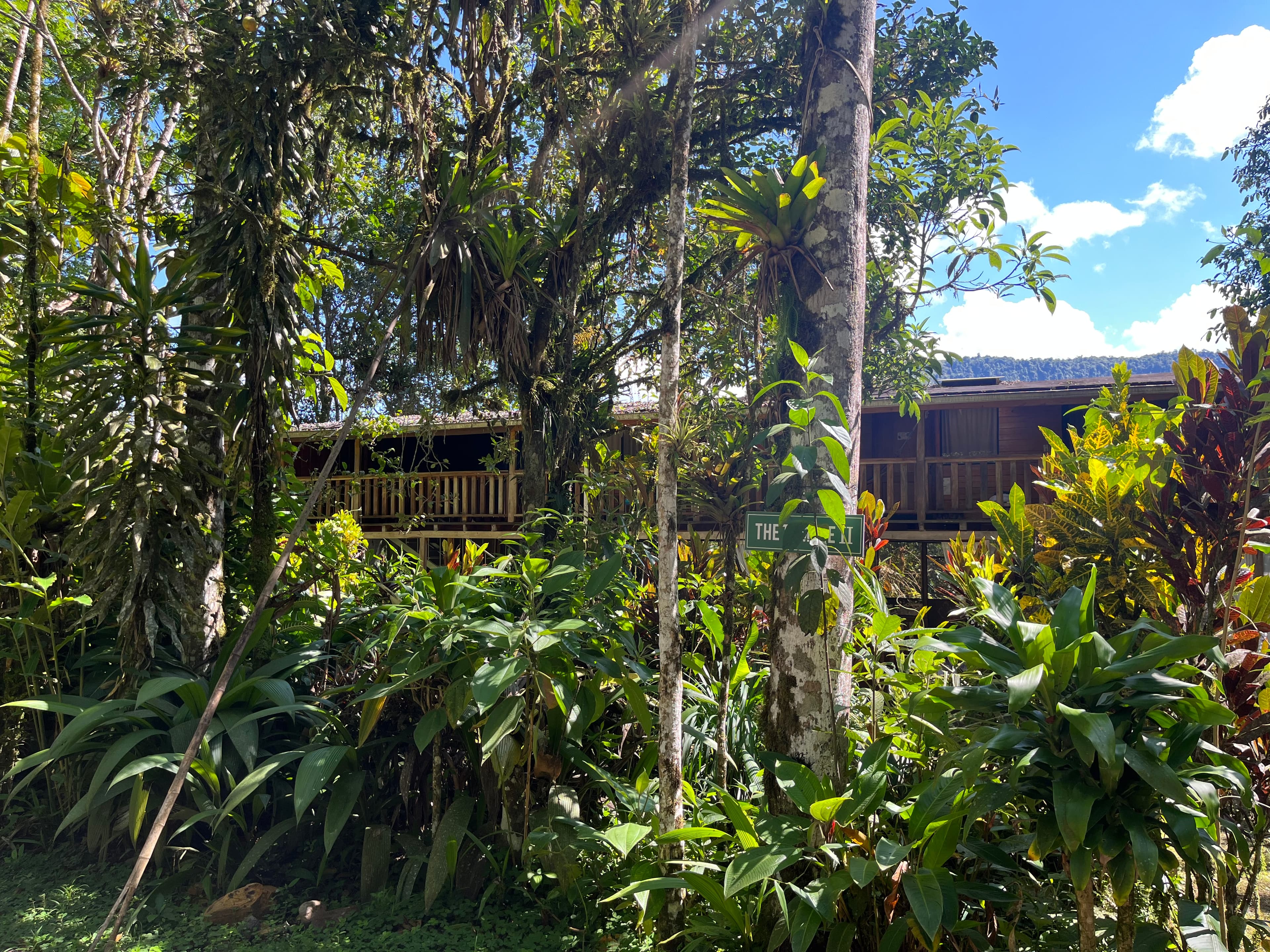 Small wooden buildings surrounded by dense tropical vegetation